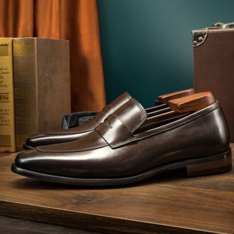 Ανδρικά Loafers Exotic Μυτερά Παπούτσια Brogue - Καφέ