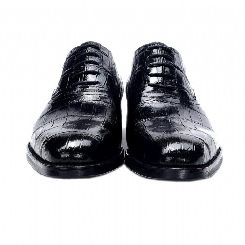 Ανδρικά Επίσημα Παπούτσια Crocdress Πολυτέλεια Crocodile Pattern Oxford - Μαύρο