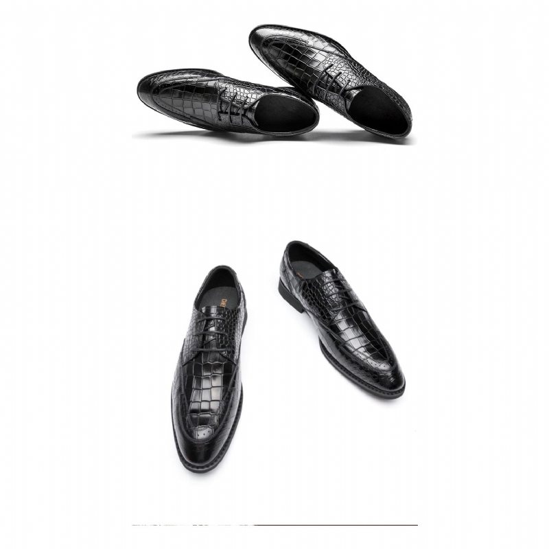 Ανδρικά Επίσημα Παπούτσια Πολυτέλεια Crocgloss Classic Brogue Φόρεμα - Μαύρος